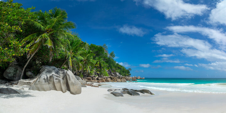 Palm trees and granite rocks at Anse Georgette scenic beach in Praslin island, Seychelles panorama