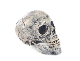 skull for halloween