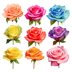 Collection of colorful roses on PNG transparent background for Valentine's Day and Valentine's Day decorations.
