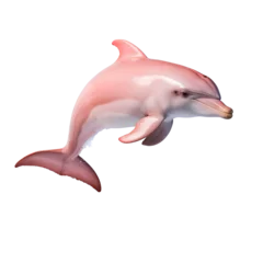 Schilderijen op glas Pink dolphin in jumping pose on transparent background PNG © I LOVE PNG