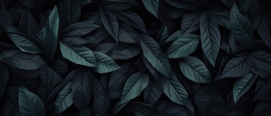abstract dark leaves textures: tropical leaf background, flat lay, matte nature concept ,large background 