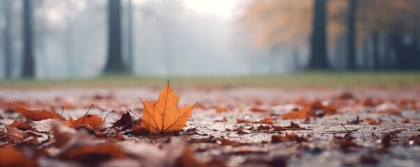 blurry autumn leaf nature background in park - obrazy, fototapety, plakaty