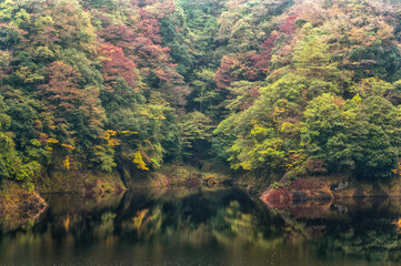 Obraz premium 茨城県常陸太田市 紅葉が始まった竜神ダム周辺の風景