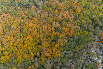 Naklejka premium drone aerial view of a deciduous mountain forest in autumn