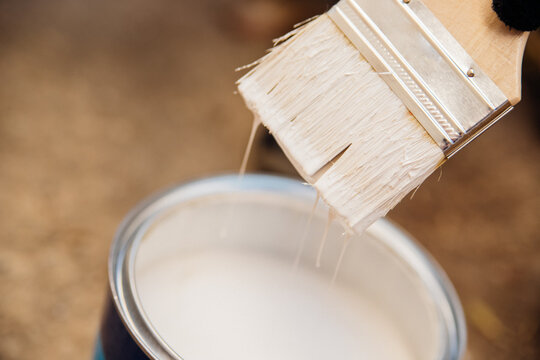 A bucket of white paint and a brush. Painting works indoors and outdoors. Renovation of premises. The brush is dipped in white paint. Painting the background of wooden boards.