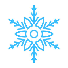 Winter Snowflake Icon