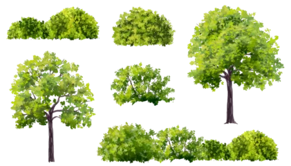 Foto auf Acrylglas Hellgrün Vertor set of green tree,plants side view for landscape elevation,element for backdrop,eco environment concept design,watercolor greenery scene