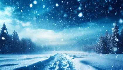  Tempête de neige dans un paysage d'hiver. Blizzard dans un ciel nuageux hivernal. © JeromeCronenberger