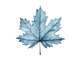 Fototapeta premium A maple leaf in watercolor style illustration with transparent background