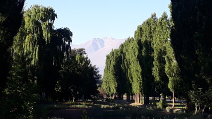 lake in the mountains