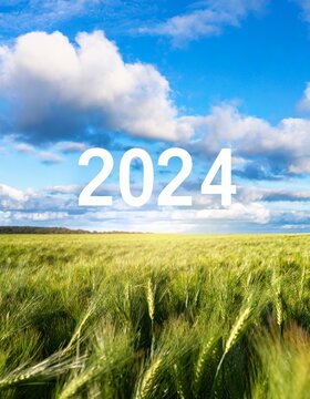 Number of the year 2024 in a cereal field.