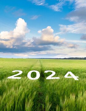 Number of the year 2024 in a cereal field.