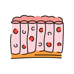 Tissue color line icon. Organisation in organism.