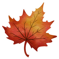 red maple leaf