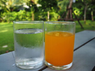 Drinking water and freshly squeezed orange juice in clear glasses Place it on the dining table with a blurry green garden background. Homemade orange juice has a sweet and sour taste good for health
