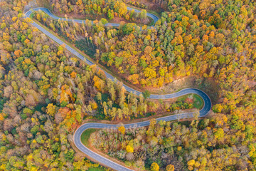 Bird's-eye view of a winding road through an autumn forest in the Taunus near Obernhof/Germany on the Lahn