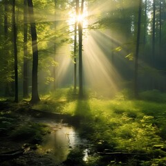 A forest in the early morning with sunlight. Generative AI