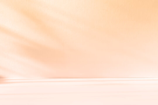 Abstract pink color gradient studio background for product presentation. Empty room with shadows of window and flowers and palm leaves . 3d room with copy space. Summer concert. Blurred backdrop.