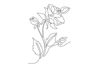 Continuous line drawing of rose flower. One line art concept of beautiful floral for love greeting. Vector illustration
