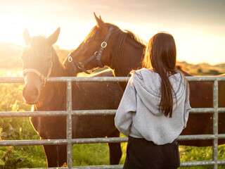 Teenager girl looking at dark horses by a metal gate to a field at stunning sunset. Warm sunshine glow. Selective focus. Light and airy soft look. Connection to nature concept. Rural area.