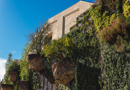 Vertical garden on beige building