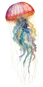 Underwater Radiance: A Colorful Jellyfish Illustration,jellyfish in the sea,jellyfish in the water