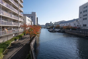 大阪、都市、風景、川、橋、秋	