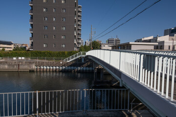 大阪、都市、風景、川、橋、秋	