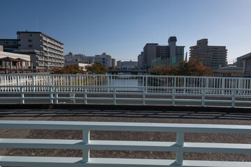 大阪、都市、風景、川、橋、秋	