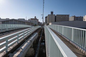大阪、都市、風景、川、橋、秋	