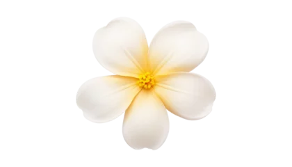 Foto op Plexiglas white flower isolated on transparent background cutout © Papugrat