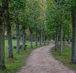 Path with trees