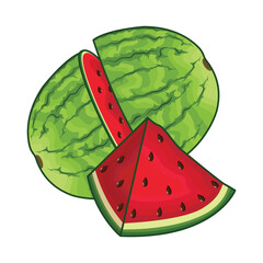 watermelon slice illustration 