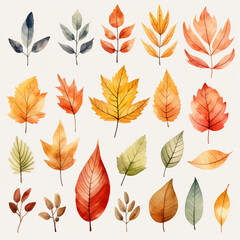 set of watercolor clip art of autumn leaves isolated on white background for graphic design