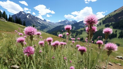Obraz premium Alpine Wildflowers Blooming Vibrantly with Majestic Mountains and Blue Sky in the Background
