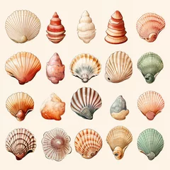 Deurstickers set of watercolor clip art of seashells isolated on white background for graphic design © elementalicious