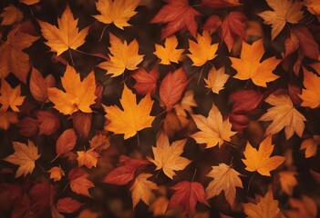 Naklejka na ściany i meble Fall leaves background with colorful orange leaves filling entire frame