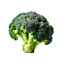 broccoli isolated on white background