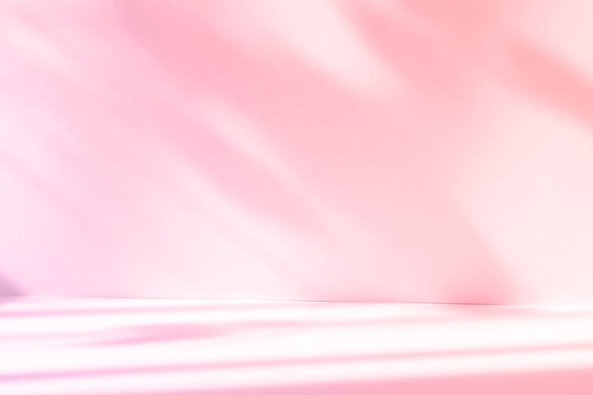 Abstract pink color gradient studio background for product presentation. Empty room with shadows of window and flowers and palm leaves . 3d room with copy space. Summer concert. Blurred backdrop.