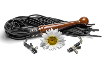 black leather bdsm lash with clips and yellow daisy flower on a white background