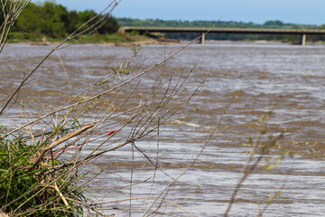 Catfish with Set line fishing alone the Niobrara River in Nebraska