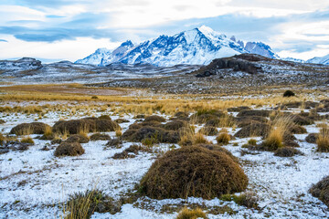 Mountain landscape environment, Torres del Paine National Park, Patagonia, Chile.