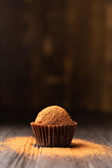 Delicious chocolate truffles sprinkled with cocoa on a black reflective background.
