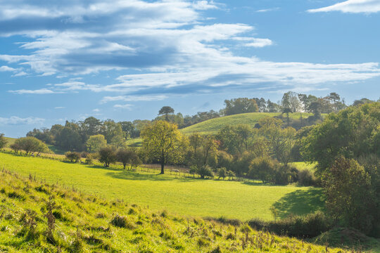 English countryside on a bright early autumn day. View across farmland with fields, sheep and trees beginning to change colour