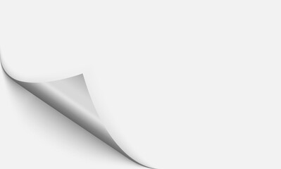 Realistic curls of the corners of a paper page on a transparent background with shadow, curled corners of a sheet of paper. The white edges of the vector stickers are curved. Corners of paper skroll