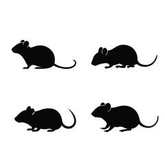 silhouette mouse and rat set, vector illustration isolated on white background  