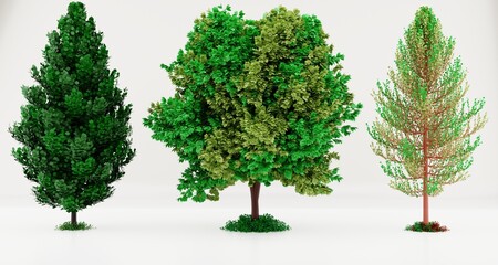 Fototapeta na wymiar 3D Trees Isolated on white Background,Collection of green tree side view isolated on white background