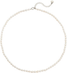 Naklejka premium pearl necklace isolated on white background