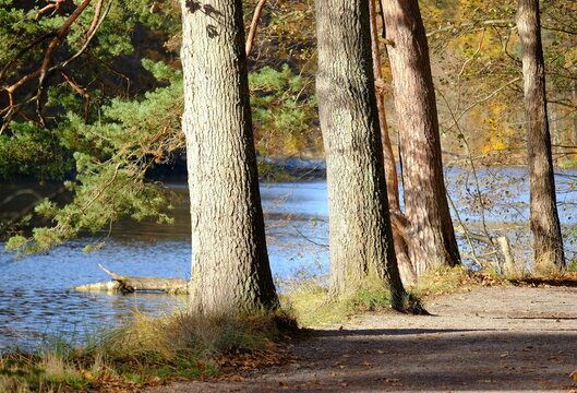 Herbststimmung am B&auml;rensee