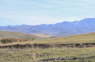 landscape, mountain, sky, nature, mountains, clouds, hill, panorama, cloud, valley, summer, grass, field, forest, Kazakhstan nature, tree, green, hills, lake, countryside, travel, meadow, sunset, rura